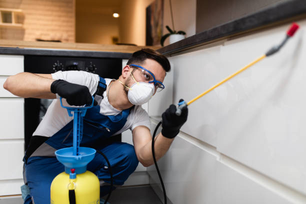 Best Emergency Pest Control  in Dalton, PA