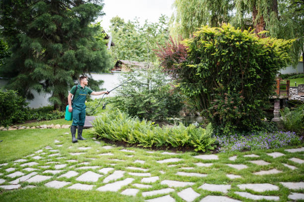 Best Pest Control for Businesses  in Dalton, PA