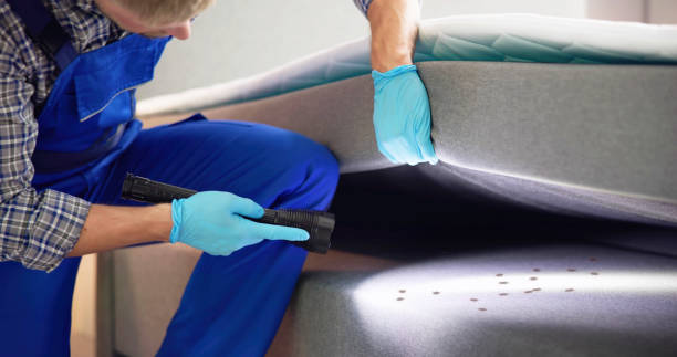 Best Rat Extermination Near Me  in Dalton, PA