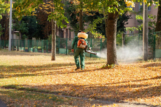 Best Commercial Pest Control Services  in Dalton, PA